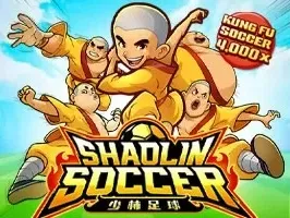 Shaolin Soccer icon